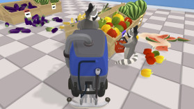 Raccoon Retail