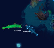 SeaDragons.io
